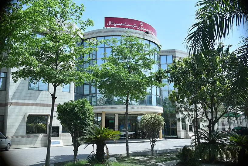 2by3-in-banner